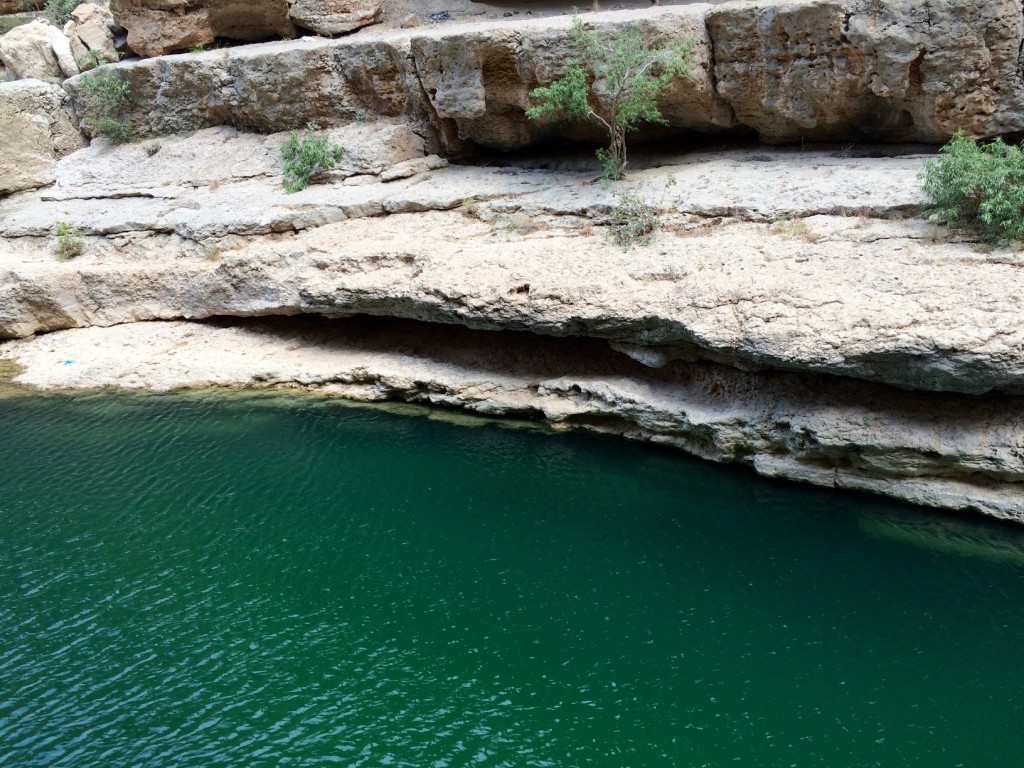 wadi shab