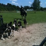 photo (1)