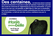 Mars 2019 : toute l’actualité dans notre lettre d’information !