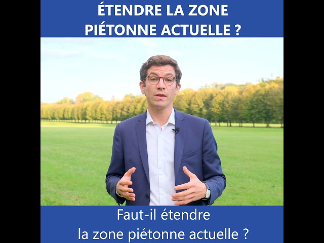 Proposition #4 : Faut-il étendre la zone piétonne actuelle ?