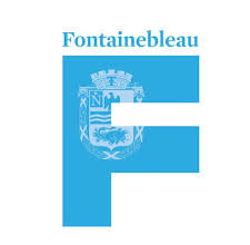 Demande de réunion virtuelle du Conseil Municipal